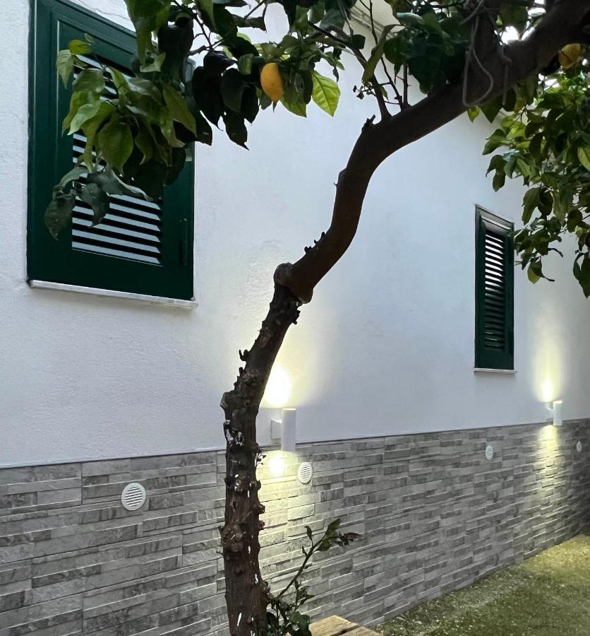 B&B Casa Vacanze Nonna Clara เนเปิลส์ ภายนอก รูปภาพ